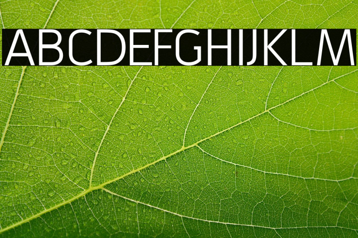 GrabsteinSansCE Example 1