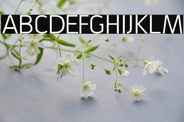 GrabsteinSansCE Example 2