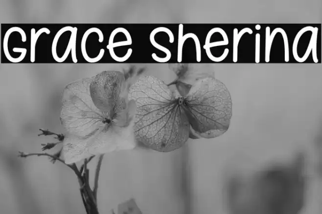 Grace Sherina Font examples