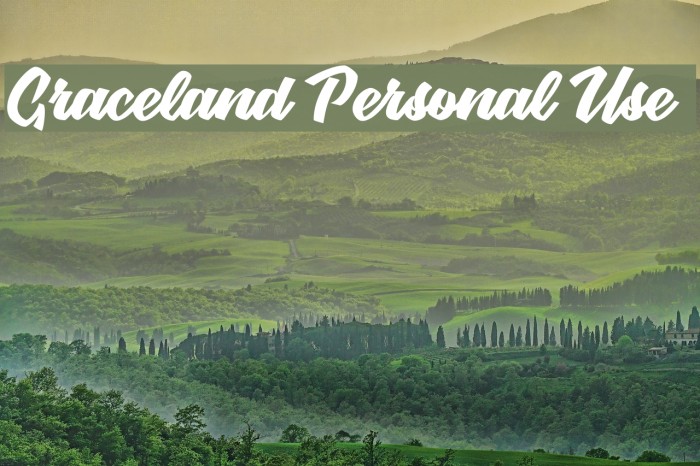 Graceland Personal Use Font examples