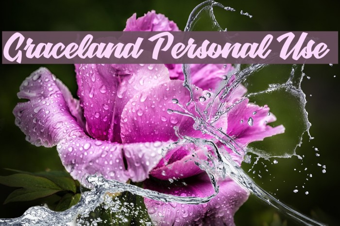 Graceland Personal Use Font examples