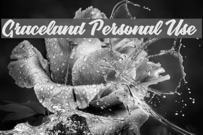 Graceland Personal Use  Font examples