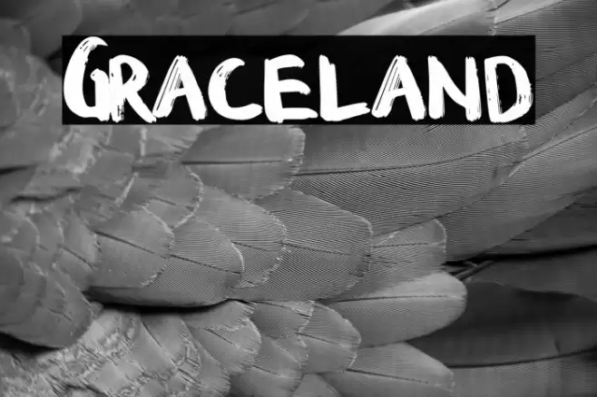 Graceland Font examples