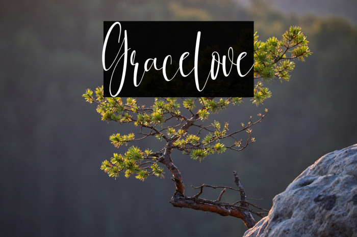 Gracelove Example 1