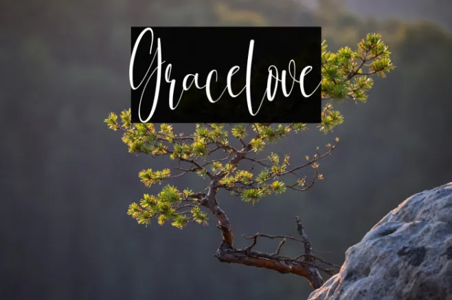 Gracelove Example 1