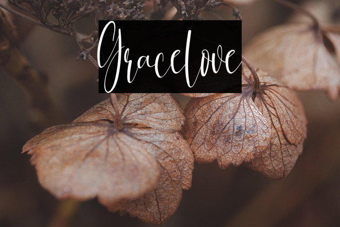 Gracelove Example 3