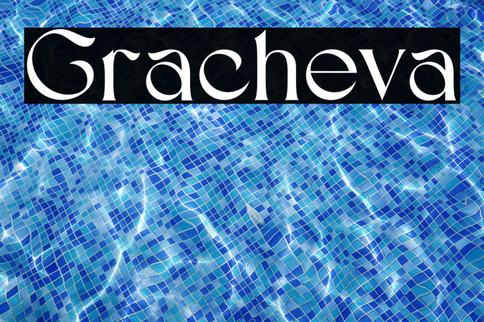 Gracheva Example 3