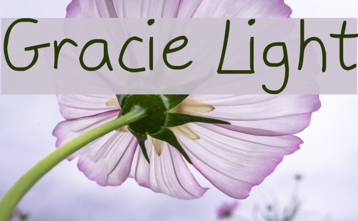 Gracie Light Font examples