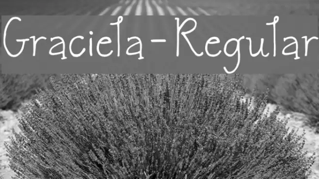 Graciela-Regular Font examples