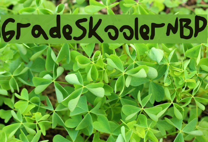 GradeSkoolerNBP Font examples