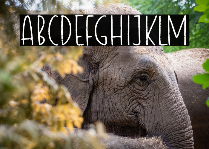 Gradechalky Example 1