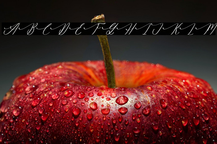 Gradefully Beauttina DEMO VERSI Italic Example 2