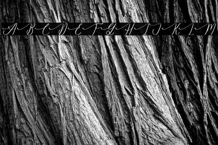 Gradefully Beauttina DEMO VERSI Example 1