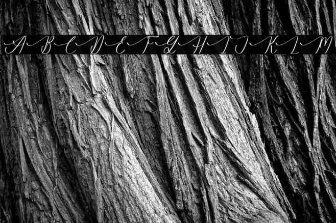 Gradefully Beauttina DEMO VERSI フォント examples