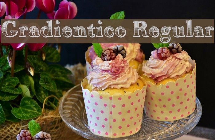 Gradientico Regular Example 1