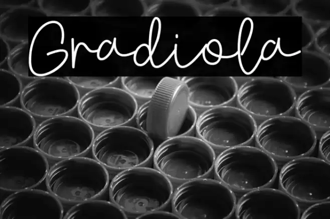 Gradiola Font examples