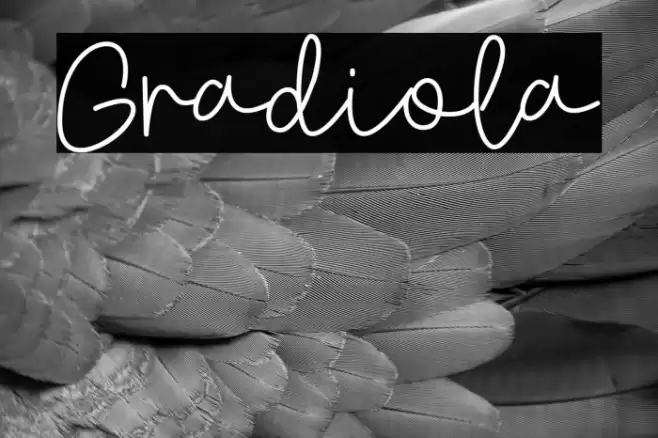Gradiola Font examples
