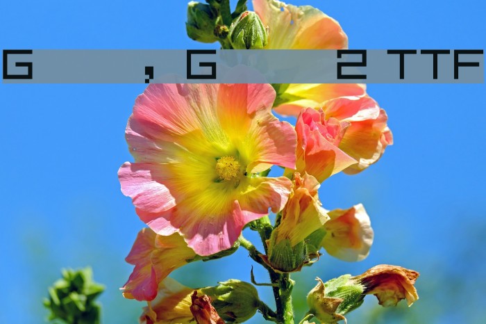 Gradius, Gradius 2 TTF Example 1