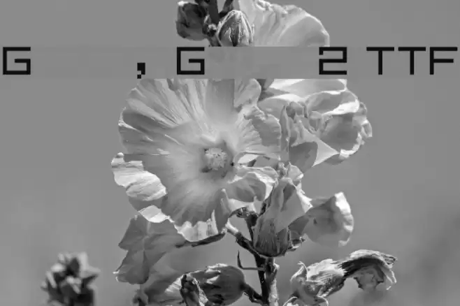 Gradius, Gradius 2 TTF Font examples