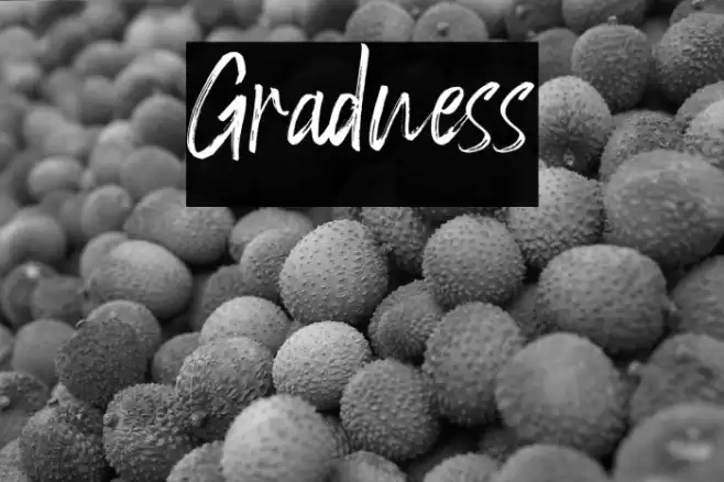 Gradness Font examples