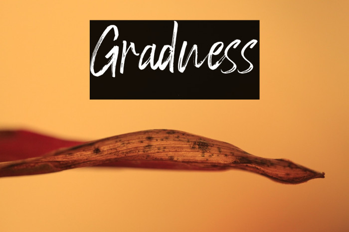 Gradness Example 2