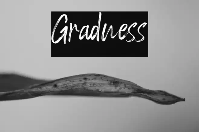 Gradness Font examples