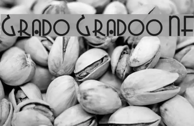 Grado Gradoo NF Font examples