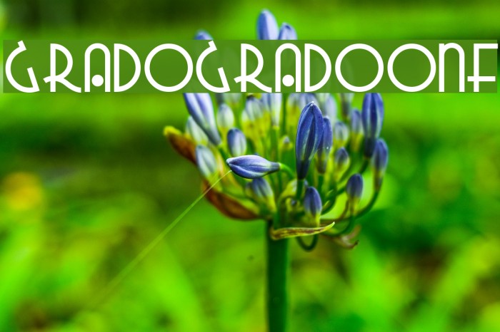 GradoGradooNF Font examples