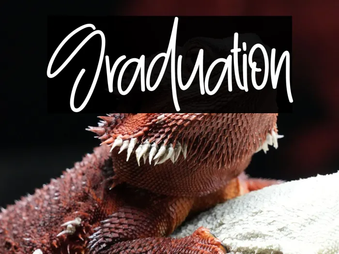 Graduation Example 3