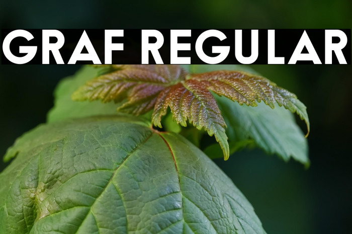 Graf Regular Example 1