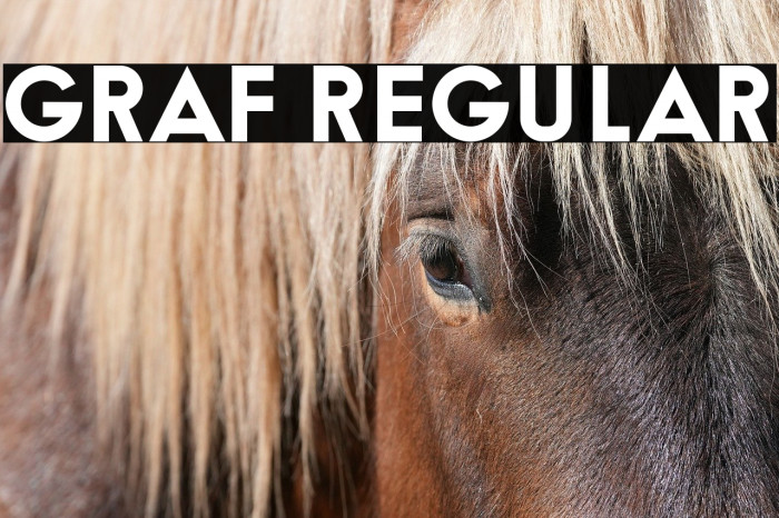 Graf Regular Example 2