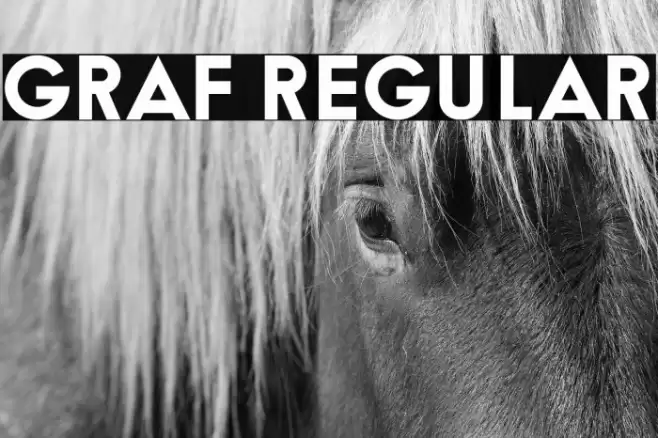 Graf Regular Font examples