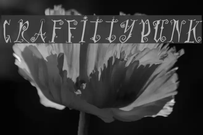 GrafFittyPunk Fonte examples