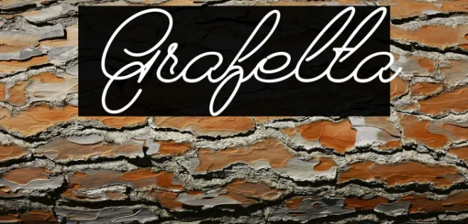 Grafelta Example 1