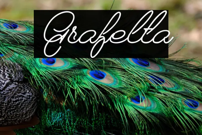 Grafelta Example 2