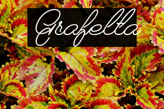 Grafelta Example 3
