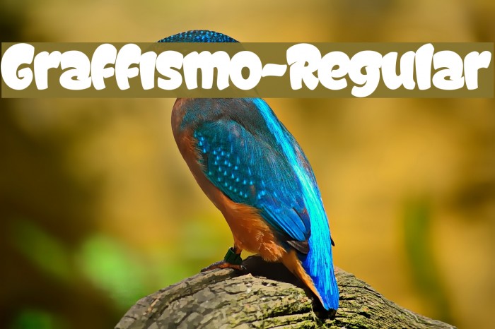 Graffismo-Regular Example 3