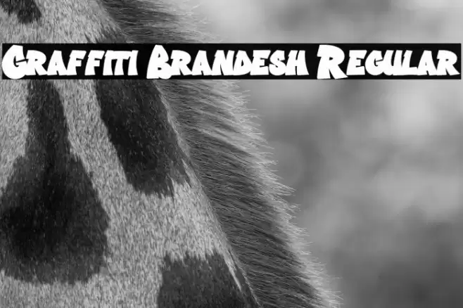 Graffiti Brandesh Regular Font examples