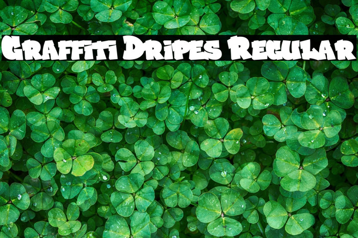 Graffiti Dripes Regular Example 1