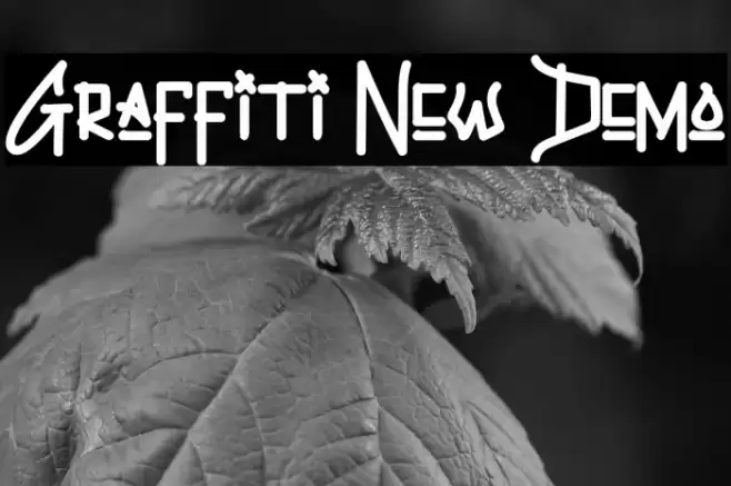 Graffiti New Demo 字体 examples