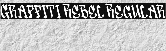 Graffiti Rebel Regular Example 1