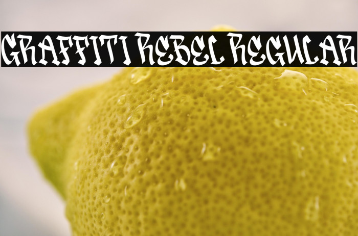 Graffiti Rebel Regular Example 2