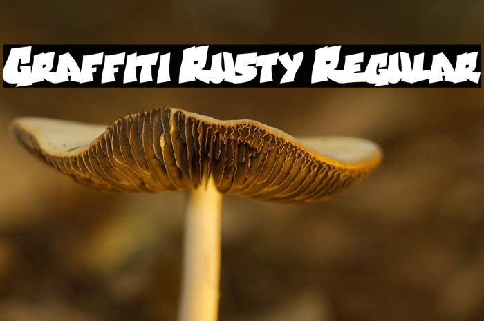 Graffiti Rusty Regular Example 1