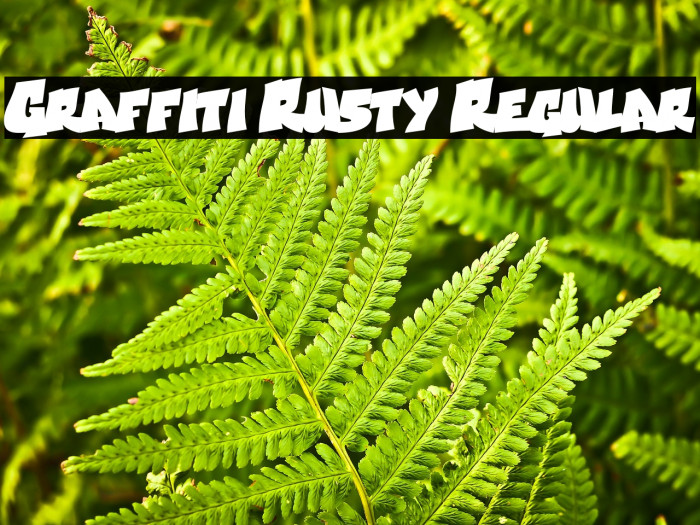 Graffiti Rusty Regular Example 3