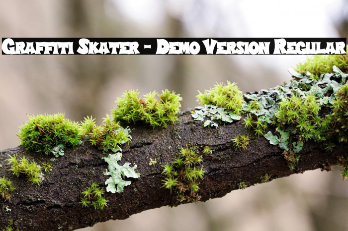 Graffiti Skater - Demo Version Regular Example 3