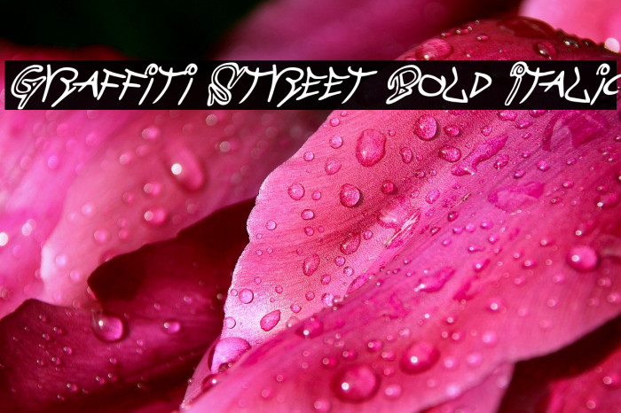 Graffiti Street Bold Italic Font examples