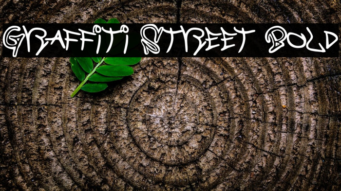Graffiti Street Bold Font examples