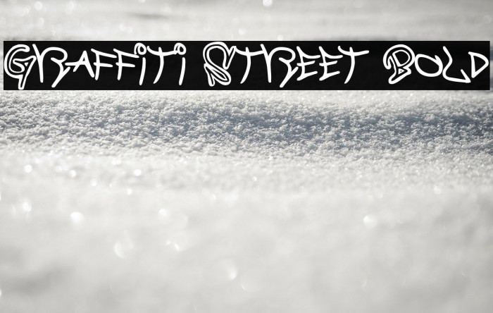 Graffiti Street Bold Font examples