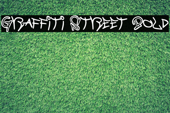 Graffiti Street Bold Font examples