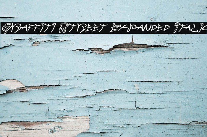 Graffiti Street Expanded Italic フォント examples